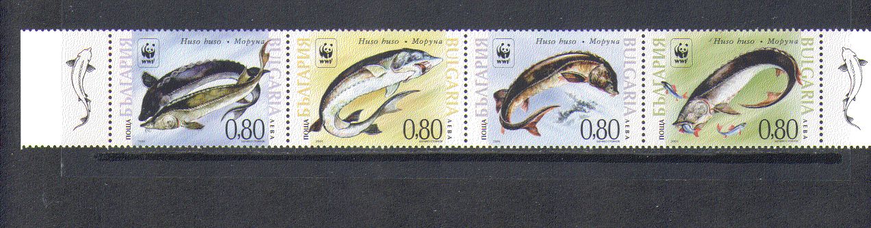 Bulgaria 2004 WWF / Sturgeon / FISH / Marine 4v strp n13883