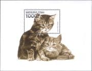 Burkina Faso 1999 Persian/ Domestic Cats/ Animals/ Nature/ Pets 1v m/s (b2105j)