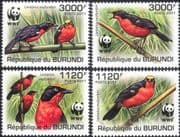 Burundi 2011 WWF/ Papyrus Gonolek/ Birds/ Nature/ Wildlife/ Conservation 4v (b6548d)