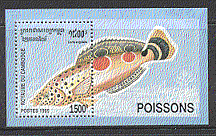 Cambodia 1995 Fish / Marine m / s ref:b8209