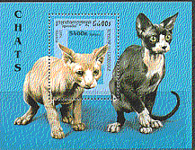 Cambodia 1997 Domestic Cats / Pets / Animals 1v m / s b9141