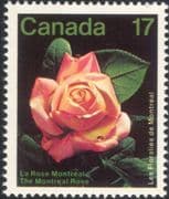 Canada 1981 Montreal Flower Show/ Roses/ Flowers/ Plant/ Nature 1v (n45471)