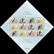 Canada 1996 Kestrel/ Puffins/ Woodpecker/ Hummingbird/ Birds/ Nature 12v sht (n19544)