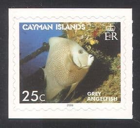 Cayman Islands 2006 Angelfish  /  Fish  /  Marine  /  Nature  /  Wildlife 1v s  /  a bklt (n39150)