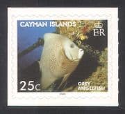 Cayman Islands 2006 Angelfish / Fish / Marine / Nature / Wildlife 1v s / a bklt (n39150)