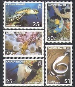Cayman Islands 2006 TURTLE  /  Fish  /  Marine  /  Nature  /  Wildlife 5v set (n16146)