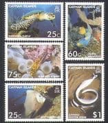 Cayman Islands 2006 TURTLE / Fish / Marine / Nature / Wildlife 5v set (n16146)