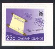 Cayman Islands 2008 Greetings / Invitation / Fireworks / Animation 1v s / a bklt n39196