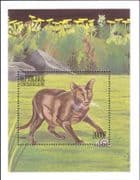 Centrafricaine/Central African Republic 1999 Domestic Cats/ Pets/ Animals 1v m/s (b2252d)