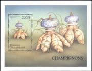 Central African Republic 1999 Fungi/ Mushrooms/ Nature/ Plants 1v m/s (s1836h)