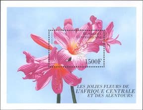 Central African Republic / Centrafricaine 2000  Flowers/ Plants/ Nature  1v m/s  (n26438b)