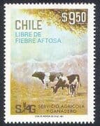 Chile 1981 Cattle / Farming / Animals / Disease / Cows / Nature 1v (n37894)