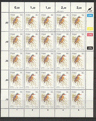 Ciskei 1981 Bird / KINGFISHER / Nature 25v sht (n17131)