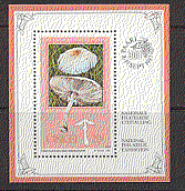 Ciskei 1987 Edible Mushrooms / Fungi 1v f / s ref:b1350