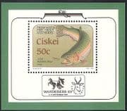 Ciskei 1989 Trout / Fish / Nature 1v f / s (n17924)