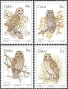 Ciskei 1991 Barn Owl/ Marsh/ Scops/ Wood/ Owls/ Birds/ Raptors/ Nature/ Wildlife 4v set (n19944)