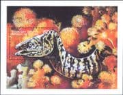Comores / Comoro Islands 1999 Moray Eel/ Fish/ Marine/ Nature/ Wildlife 1v m/s (s639k)