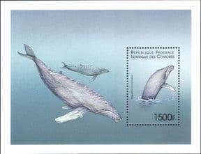 Comores / Comoros  1989 Whales/ Marine Animals/ Nature/ Wildlife/ Conservation  1v m/s  (b2428h)