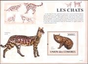 Comoros / Comores 2009 Black Footed Cat/ Cats/ Wild Animals/ Nature/ Wildlife 1v m/s (s2885c)