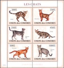 Comoros / Comores 2009  Domestic Cats/ Pets/ Animals/ Nature  6v m/s  (s2885d)