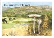 Comoros / Comoro Islands 1998 Fungi/ Mushrooms/ Plants/ Nature 1v m/s (s1836f)