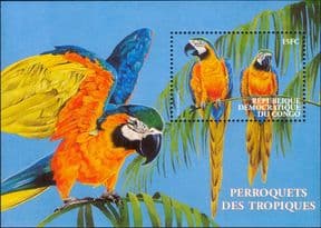 Congo 2000  Parrots/ Macaws/ Birds/ Wildlife/ Conservation 1v m/s (b1113)