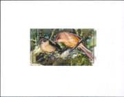 Cook Islands 2007 Reed Warbler/ Birds/ Nature/ Wildlife IMPERF PROOF sht (n16099b)