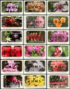 Cook Islands 2010 Officials/ Flowers/ Plants/ Nature/ OHMS overprint/ Roses/ Lily 18v set (b6225y)