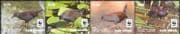 Cook Islands 2014 WWF/ Spotless Crake/ Birds/ Nature/ Wildlife/ Conservation 4v strip (b209f)