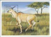 Democratic Rep of Congo 2000 Cape Eland/ Animals/ Wildlife/ Nature 1v m/s (s2463e)