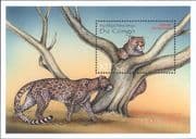 Democratic Rep of Congo 2000 Leopard/ Cats/ Animals/ Wildlife/ Nature 1v m/s (s3470z)