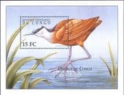 Democratic Republic of Congo 2000 African Jacana/ Birds/ Nature/ Wildlife 1v m/s (b9788k)