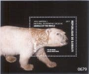 Djibouti 2017 Polar Bear/ Nature/ Wildlife/ Bears/ Animals/ National Geographic 1v m/s (b4448b)