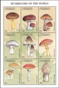 Dominica 1998 Fungi/ Mushrooms of the World/ Plants/ Nature 9v sht (b7735q)