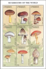 Dominica 1998  Fungi/ Mushrooms of the World/ Plants/ Nature  9v sht  (b7735q)