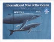 Dominica 1998 Year of the Ocean/ Whales/ Marine Animals/ Nature/ Wildlife 1v m/s (b2428gf)