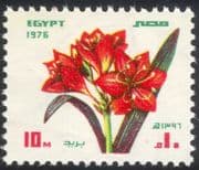 Egypt 1976 Amaryllis/ Flowers/ Plants/ Nature/ Festivals 1v (n44540)