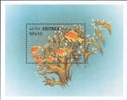 Eritrea 2000 Red Sea Fish/ Sea Goldie/ Marine/ Animals/ Nature/ Coral 1v m/s (b6735)