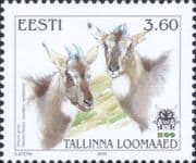 Estonia 2000 Amur Goral/ Tallinn Zoo/ Animals/ Nature/ Wildlife 1v (ee1344)
