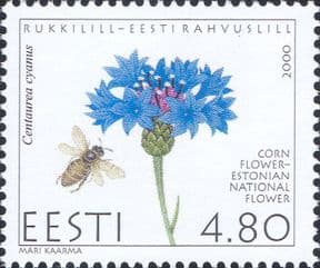 Estonia 2000  Cornflower/ Bee/ National Flower/ Flowers/ Nature/ Plants/ Insects  1v  (ee1345)