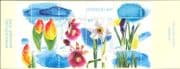 Estonia 2003 Tulip/ Crocus/ Daffodil/ Hellebore/ Flowers/ Plants/ Nature 4v bklt (ee1300)