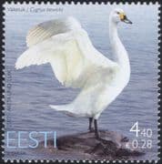 Estonia 2007 Bewick Swan/ Birds/ Nature/ Wildlife/ Conservation/ Swans 1v (ee1033)