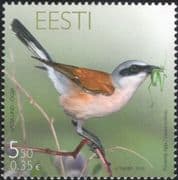 Estonia 2010 Shrike/ Birds/ Nature/ Wildlife/ Conservation 1v (ee1034)