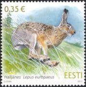 Estonia 2011 Brown Hare/ Animals/ Wildlife/ Nature/ Conservation/ Hares 1v (ee1045)
