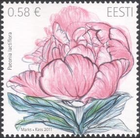 Estonia 2011 Chinese Peony/ Flowers/ Plants/ Nature/ Horticulture 1v (ee1208)
