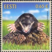 Estonia 2019 European Mole/ Animals/ Nature/ Wildlife 1v (ee1282)
