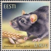 Estonia 2020 Black Rat/ Animals/ Nature/ Wildlife 1v (ee1283)
