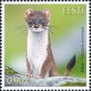 Estonia 2021 Stoat/ Animals/ Nature/ Wildlife/ Conservation 1v (ee1284)
