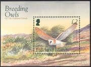 Falklands 2004 Breeding Owls/ Barn Owl/ Birds/ Raptors/ Conservation 1v m/s (n13168)