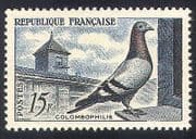 France 1957 Pigeon / Birds / Nature 1v (n32786)